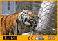 녹슬지 않은 동물 인클로저를 위한 7X19 종류 SS316L 동물원 와이어 메쉬